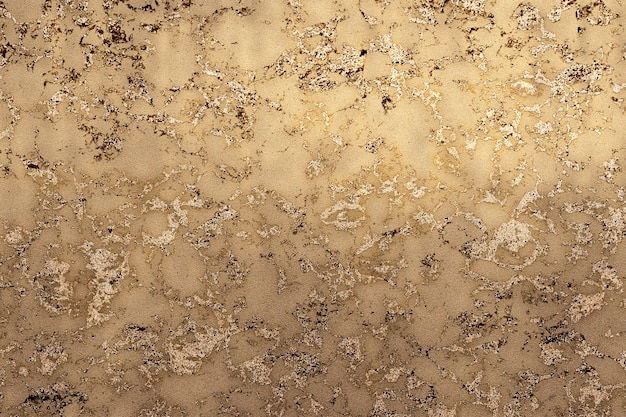 How To Invest In Wint Wealth?